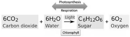 Solution diagram