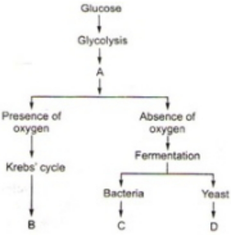 Question diagram