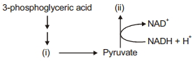 Question diagram
