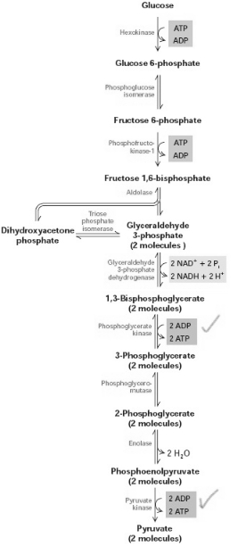 Solution diagram