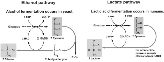 Solution diagram
