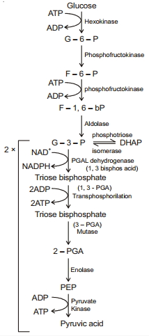 Solution diagram