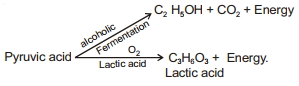 Solution diagram