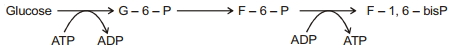 Solution diagram