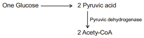 Solution diagram