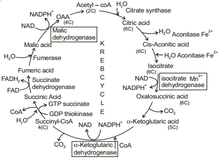 Solution diagram