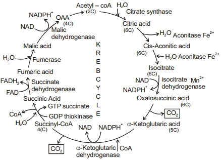 Solution diagram