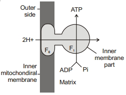 Solution diagram