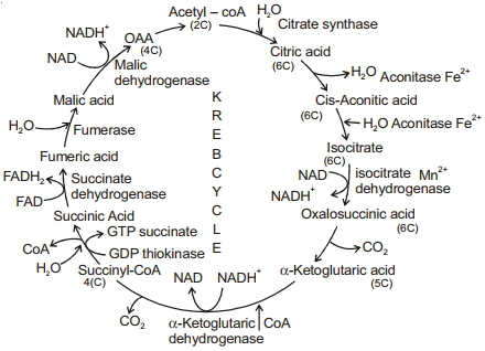 Solution diagram