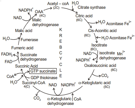 Solution diagram
