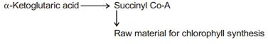 Solution diagram