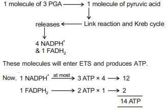 Solution diagram