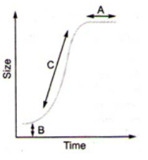 Question diagram