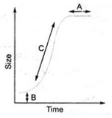 Solution diagram