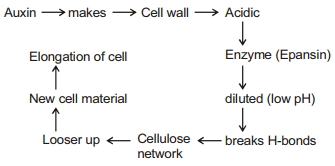 Solution diagram