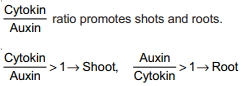 Solution diagram
