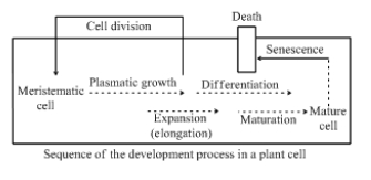 Solution diagram