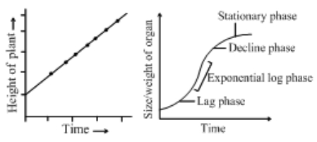 Solution diagram