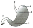 Question diagram