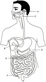 Question diagram