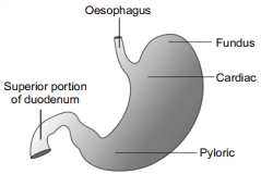 Solution diagram