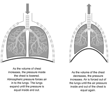 Solution diagram