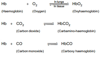Solution diagram