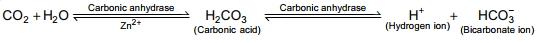 Solution diagram