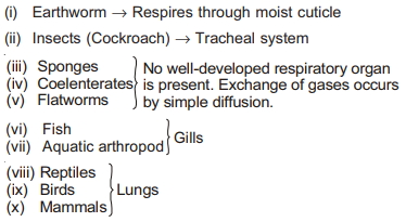 Solution diagram