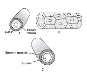 Question diagram