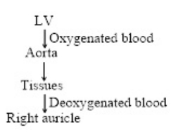 Question diagram