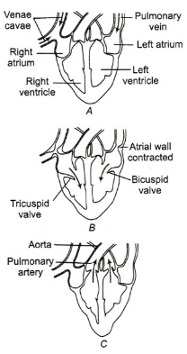 Question diagram