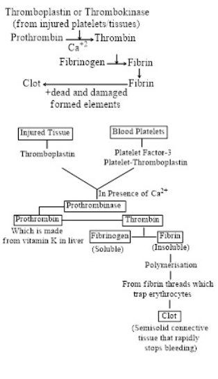 Solution diagram