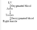 Solution diagram