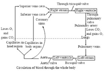 Solution diagram