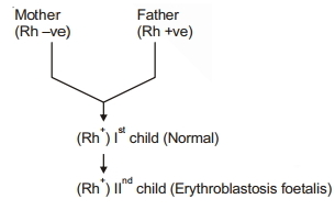 Solution diagram