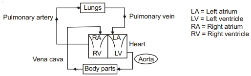 Solution diagram