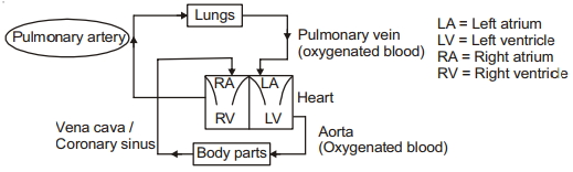 Solution diagram