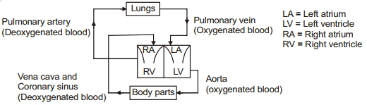 Solution diagram