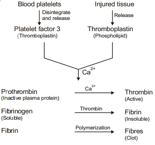 Solution diagram