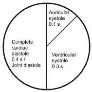 Solution diagram