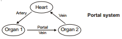 Solution diagram