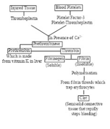 Solution diagram