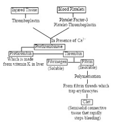 Solution diagram