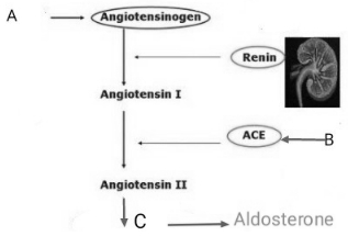 Question diagram