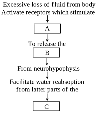 Solution diagram