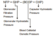 Solution diagram