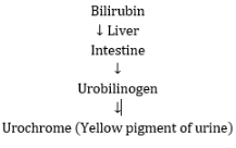 Solution diagram