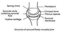 Solution diagram