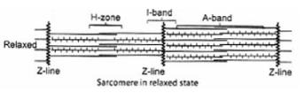 Solution diagram